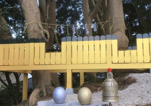 夫婦円満、子宝などの願がかけられる陰陽のご神木