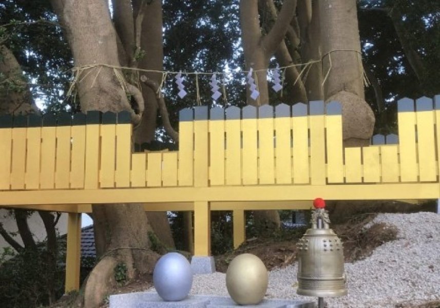 夫婦円満、子宝などの願がかけられる陰陽のご神木