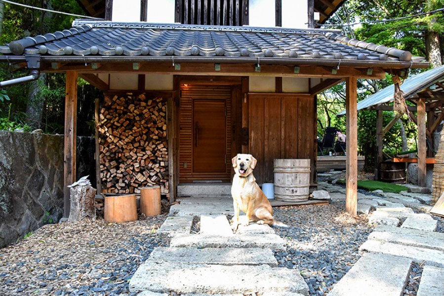 サウナ入り口では愛犬がお出迎え