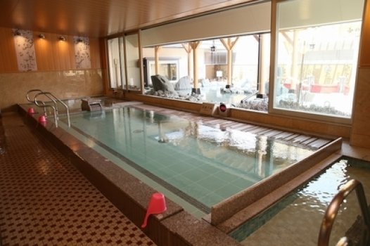 屋内の大きな炭酸の湯。毎日替わる日替の湯もお楽しみ！