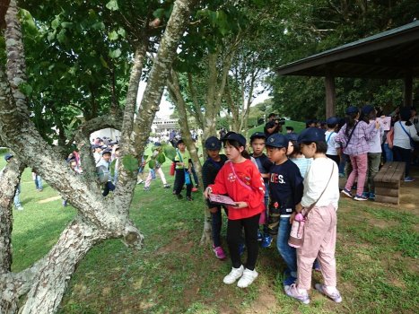 敷地内も緑がいっぱい。さらに校外で自然と親しむ機会が多数で、リーダーシップとチームワークを養います