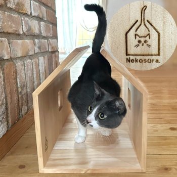 ポイントはトンネルのてっぺんが開いていること! しっぽがピーンの可愛さは日々の癒し