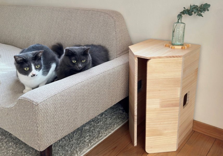 縦において付属のふたをすると、インテリアテーブルに