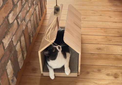 空から降りてくる猫じゃらしをぐるぐる♪　トンネルの中でも遊べます♪
