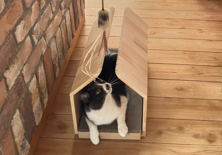 空から降りてくる猫じゃらしをぐるぐる♪　トンネルの中でも遊べます♪