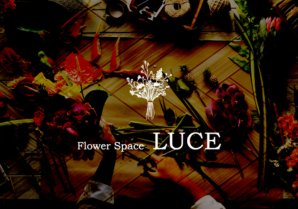 Flower Space LUCE